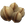 Amarberry Seed.png