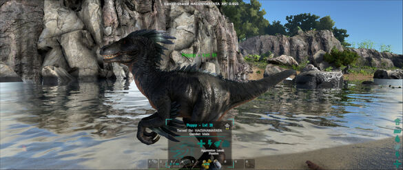 ARK-Raptor Screenshot 007