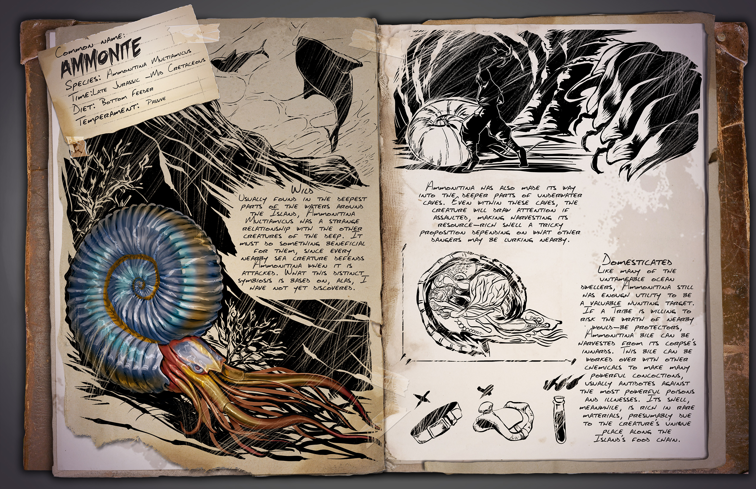 Ammonite Ark Survival Evolved Wiki Fandom