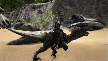 ARK-Raptor Screenshot 009