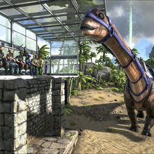 Diplodocus