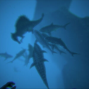 Megalodon Ark Survival Evolved Wiki Fandom