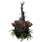 Plant Species X