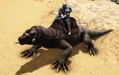 Un joueur chevauchant un Megalania