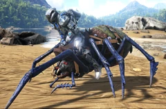 Un joueur chevauchant un Aranéo