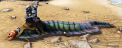 Un joueur chevauchant un Arthropleura.
