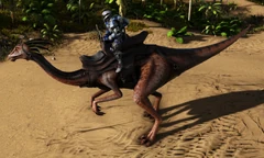 Un joueur chevauchant un Gallimimus
