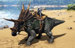 Un joueur chevauchant un Tricératops