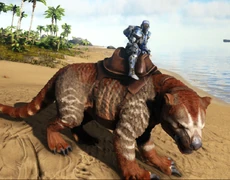 Un joueur chevauchant un Thylacoleo.