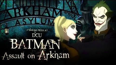 Batman: Assault on Arkham | Arkham Wiki | Fandom