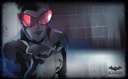 Catwoman Arkham Wiki Fandom