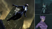 Catwoman has these skins on Arkham City as a playable character.