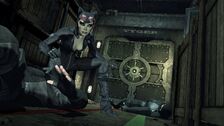 Catwoman Arkham Wiki Fandom