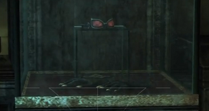 101CatwomanGlovesAndGlasses