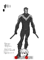 ACNightwingConcept2