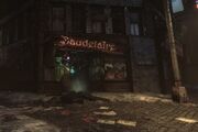 Baudelaire Flower Shop