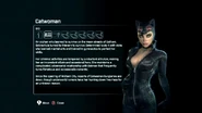 Catwoman's Bio in "Arkham City".