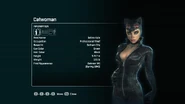 ArkhamCity Catwoman.jpg (176 KB)