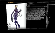Catwoman's bio in Arkham Asylum.