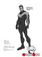 ACNightwingConcept1