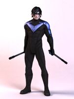 ACModelNightwing2