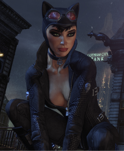 Catwoman | Arkham Wiki | Fandom