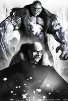 Penguin and Solomon Grundy Promo Arkham City