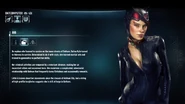 Catwoman's bio in Arkham Knight.