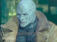 Hush Character Trophy Arkham City