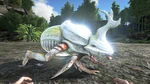 Dung Beetle PaintRegion3