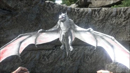 Onyc PaintRegion2.jpg