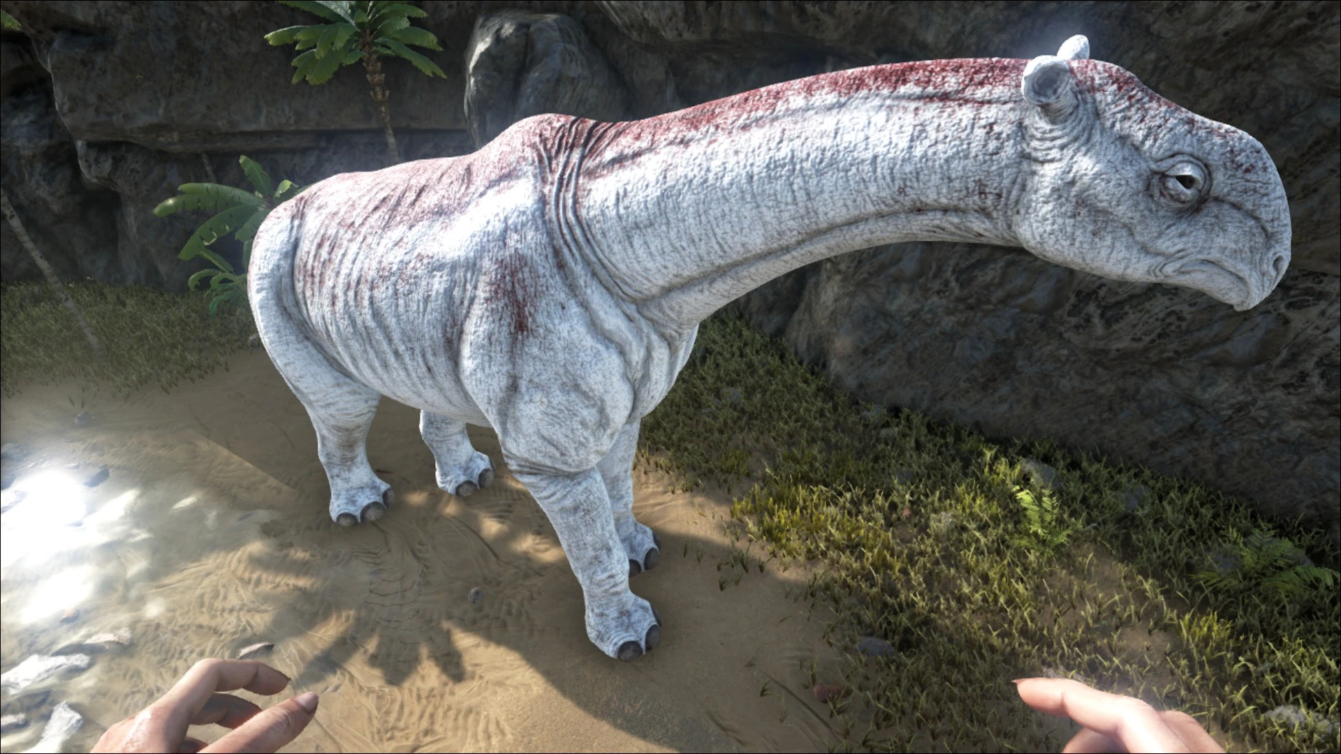 その他 Ark Paraceratherium - ARK: Survival Evolved Wiki