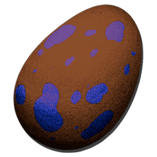 Regular Maewing Egg (Genesis Part 2)