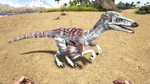 Troodon PaintRegion4