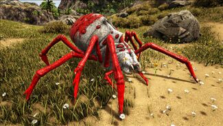 Alpha Araneo Official Ark Survival Evolved Wiki After two araneos mate, the resulting egg can be hatched into a baby araneo. alpha araneo official ark survival