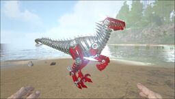 Tek Raptor PaintRegion1.jpg