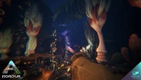 Abyssal Depths01