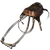 Argentavis Saddle