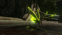 Une luciole sauvage dans Aberration.