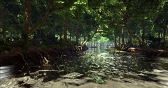 Mangroves