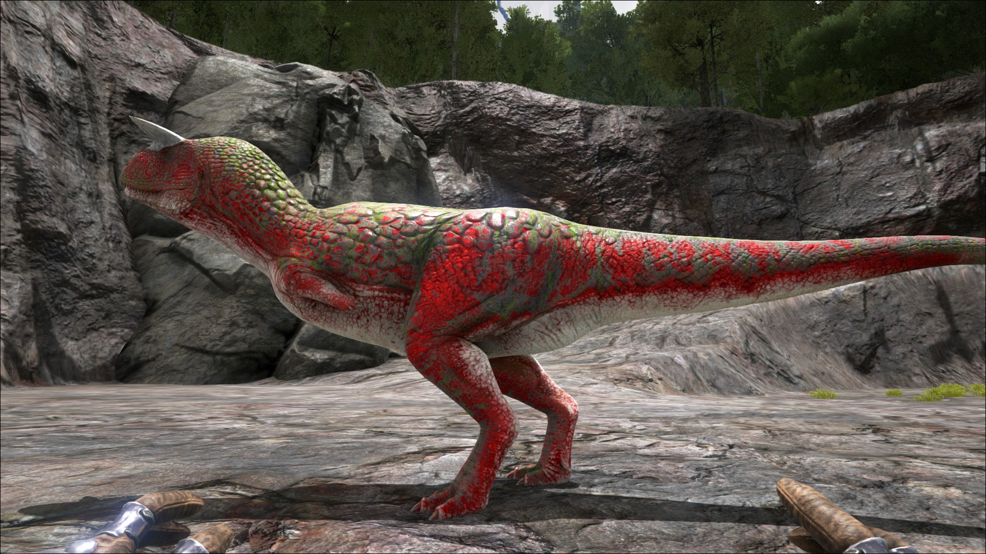 cara ark survival evolved cara ark survival evolved