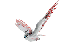 Snow Owl PaintRegion2.png