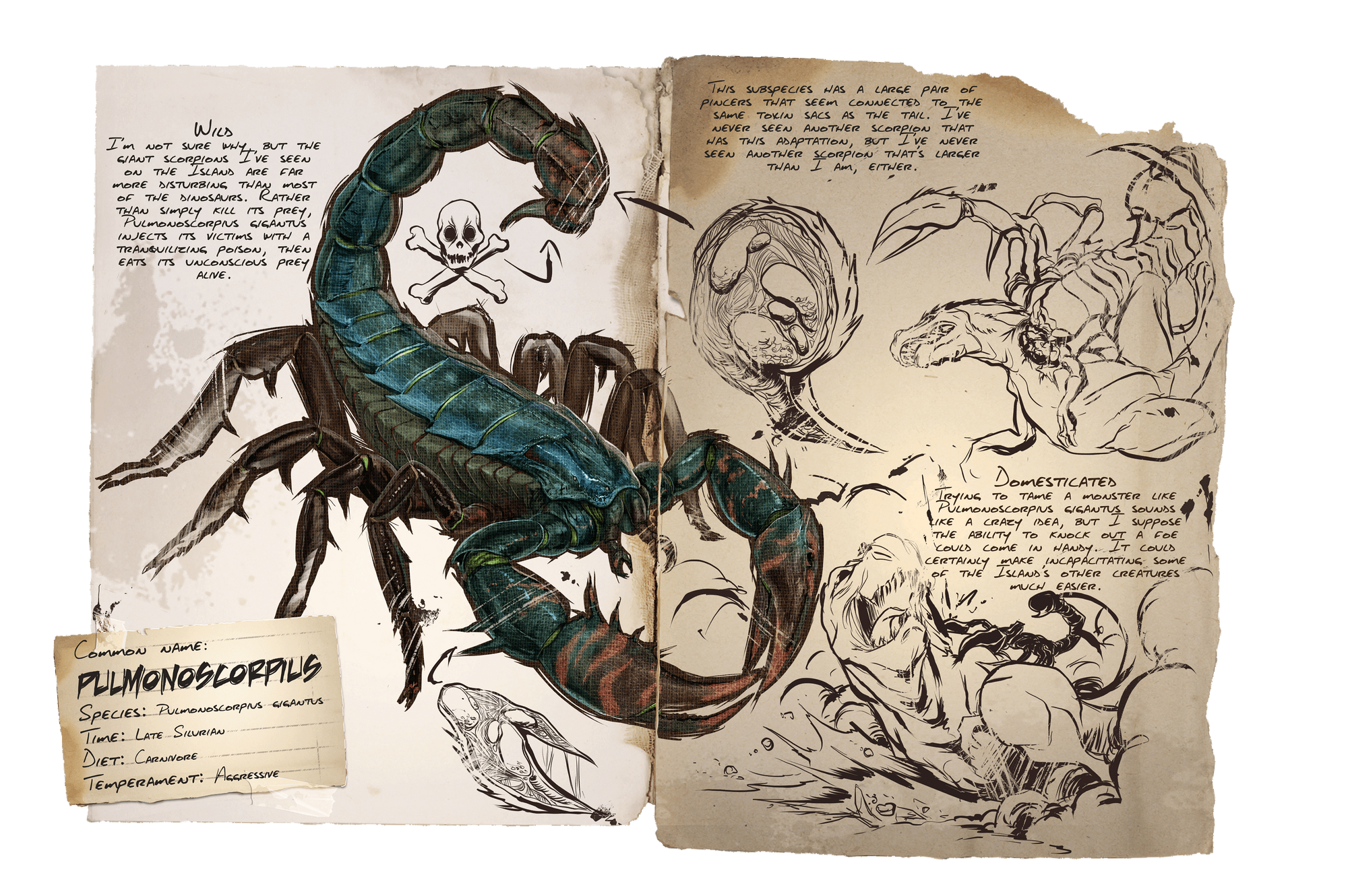 Pulmonoscorpius Official Ark Survival Evolved Wiki