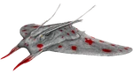 Manta PaintRegion1