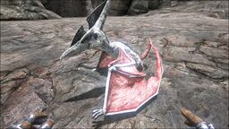 Ptera PaintRegion4.jpg