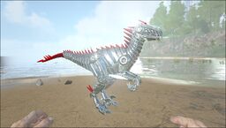 Tek Raptor PaintRegion4.jpg