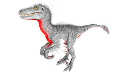 Raptor PaintRegion5.jpg