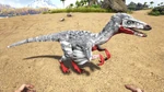 Troodon PaintRegion5