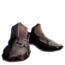 Chitin Boots