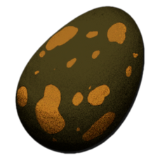 Turtle Egg